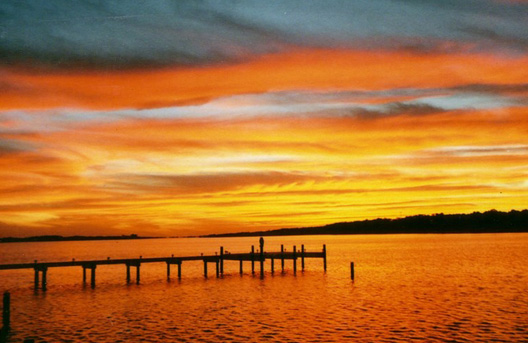 nature tours Gulf Shores AL