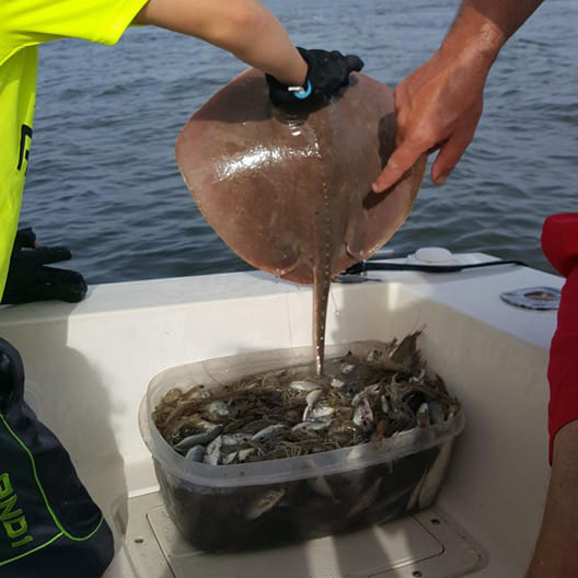 shrimping Gulf Shores AL